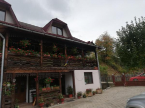 Casa Cozorici Sadova
